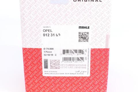 Поршень Opel Combo 1.7CDTI 04- (79.00mm/STD)