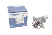 Термостат BMW 5 (E39)/7 (E38)/X5 3.5/4.4 L (з прокладкою) Термостат BMW 5 (E39)/7 (E38)/X5 3.5/4.4 L (з прокладкою)