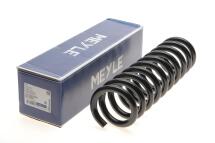 Пружина (задня) MB E-class (W124)