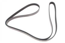 Ремінь генератора MB OM601/602 (+PS) (6PK1980)