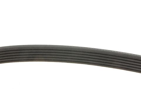 Ремінь генератора MB W124/201/202/210 OM601/602/M111 (PS) (6PK2050)