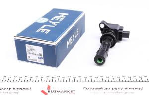 Котушка запалювання Ford Mondeo/ Galaxy/ S-max 2.3 07-15