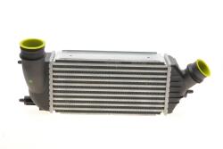Радіатор інтеркулера Citroen Jumpy/Peugeot Expert 2.0HDi 06-