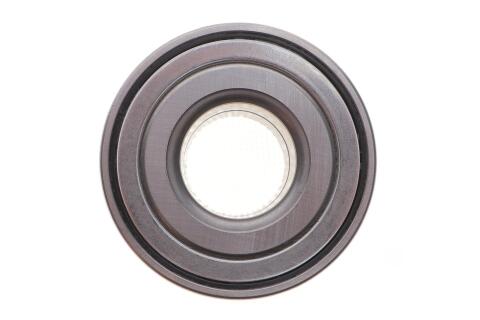 Подшипник ступицы (задней) Citroen C4/Peugeot 307 (25x60x45)