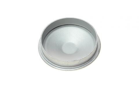 Кришка підшипника маточини (задньої) Renault Kangoo/Megane I/Clio 84-