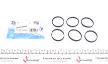 Комплект прокладок впускного коллектора BMW 5 (E60)/7 (E65/E66/E67)/X5 (E70) 03- N51/N52/N54/N55/N63 Комплект прокладок впускного коллектора BMW 5 (E60)/7 (E65/E66/E67)/X5 (E70) 03- N51/N52/N54/N55/N63