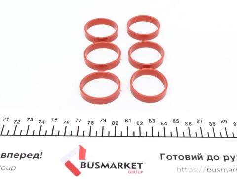 Прокладка впускного коллектора BMW/Opel 2.5/3.0D M57 (к-кт)