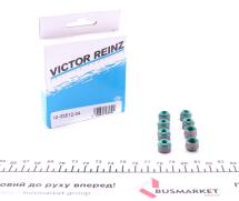 Сальник клапана (впуск/випуск) Renault Kangoo 1.5 dCi 09- (к-кт 8шт.) K9K/OM607/OM608