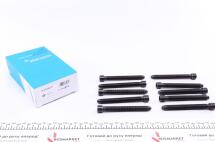 Болты головки (к-кт 10шт.) Audi A3/A4/A6/Skoda Octavia/VW Bora/Golf IV/Passat 1.8 95-