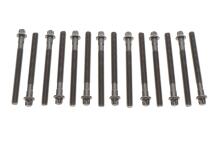 Болти головки (к-кт 14шт.) BMW 3 (E46)/5 (E36/E60/E61) 90- (L=110mm) M52