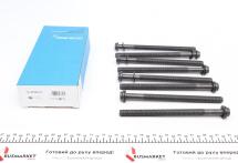 Болти головки (к-кт 8шт.) Audi Q7/Porsche Cayenne 3.0 TDI 10- Болти головки (к-кт 8шт.) Audi Q7/Porsche Cayenne 3.0 TDI 10-