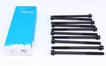 Болты головки (к-кт 10шт) Fiat Doblo/Opel Combo 1.6 D/CDTI 10- (M12x1.25x198)