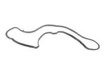 Прокладка колектора впускного Fiat Ducato 2.3D 06- Прокладка колектора впускного Fiat Ducato 2.3D 06-