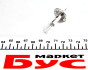 Автолампа H1 12V 55W P14.5s Xenon Plus +30% (1шт), фото 2 - интернет-магазин Auto-Mechanic