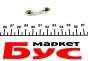 Автолампа C5W 12V 0.5W S8.5d Filament LED (6000K/45 lm/3x Long Life/CANbus Technology) Ice white (2шт.), фото 3 - интернет-магазин Auto-Mechanic