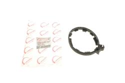 Хомут крышки фильтра топливного Citroen Berlingo/Peugeot Partner 1.9D (DW8) 98- (1904.26) Хомут крышки фильтра топливного Citroen Berlingo/Peugeot Partner 1.9D (DW8) 98- (1904.26)