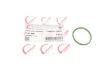 Прокладка патрубка інтеркулера ущільнююча Renault Kangoo 1.2 TCe 08-