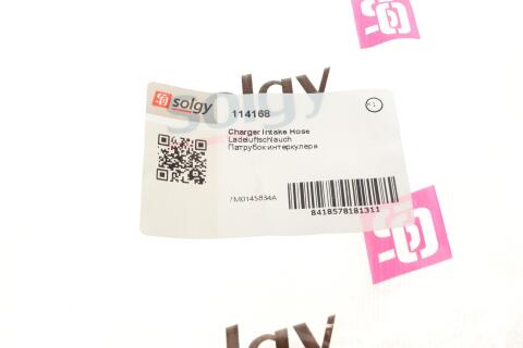 Патрубок интеркулера Ford Galaxy/VW Sharan 1.9 TDI 95-10