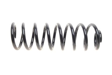 Пружина (задня) Dacia Logan 1.4-1.6/1.5dCi 04-