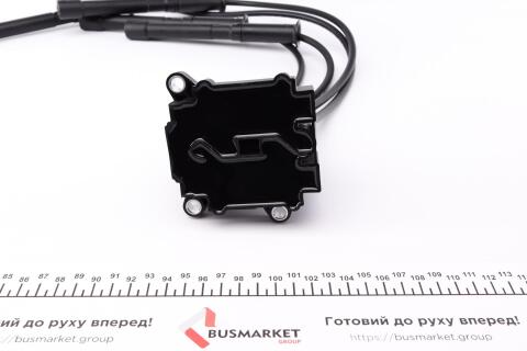 Котушка запалювання Renault Kangoo 1.2 16V 01- (к-кт) (+ проводи запалювання)