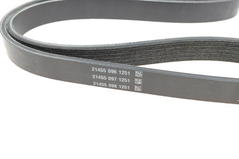 Ремінь генератора Ford Fiesta VI 1.25-1.6Ti 08-