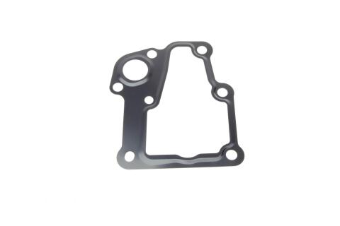 Прокладка термостату Citroen C4/C5/Peugeot 307/308/407 04-
