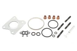 Комплект прокладок турбины VW Caddy IV 1.0 TSI 15-