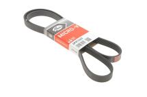 Ремінь генератора Fiat Scudo/Citroen Berlingo/VW Golf