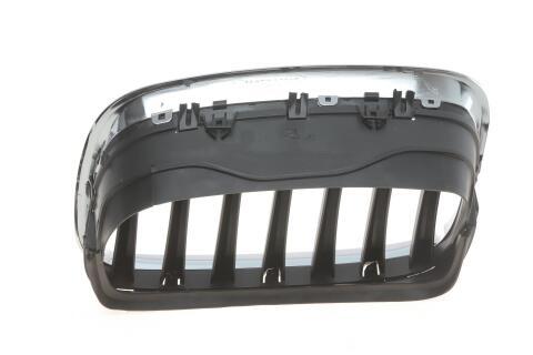 Решітка радіатора BMW X5 (E70)/X6 (E71) 06-14 (R)