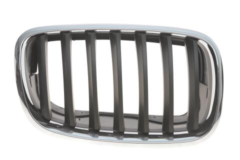 Решітка радіатора BMW X5 (E70)/X6 (E71) 06-14 (R)