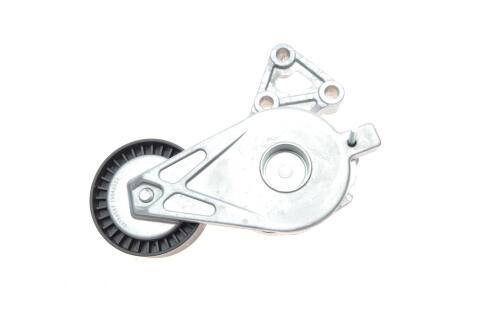 Натяжник ременя генератора VW T5 1.9TDI 03-