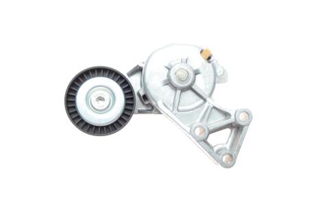 Натяжник ременя генератора VW T5 1.9TDI 03-