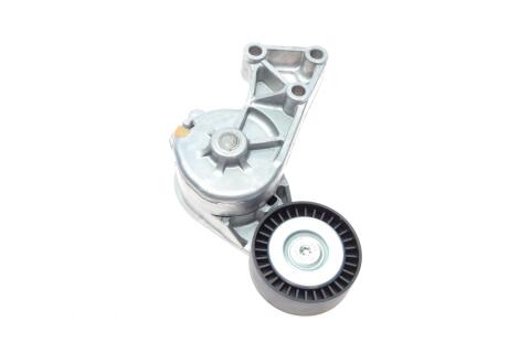 Натяжник ременя генератора VW T5 1.9TDI 03-