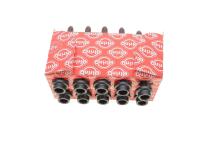 Болты головки (к-кт 10шт.) Audi A2/Seat Leon/VW Polo/Bora 1.6FSI 98-06 Болты головки (к-кт 10шт.) Audi A2/Seat Leon/VW Polo/Bora 1.6FSI 98-06