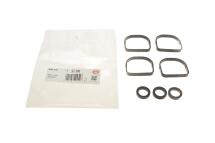 Прокладка впускного коллектора BMW 3 (E46/E90) 01-11 (к-кт)