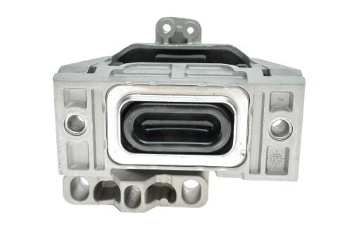 Подушка двигуна (R) VW Golf IV/Audi A6 1.6-2.0/1.9TDI 94-09