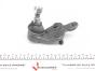 Опора кульова (передня/знизу/R) Toyota Camry 2.4-3.5 06-, фото 4 - интернет-магазин Auto-Mechanic