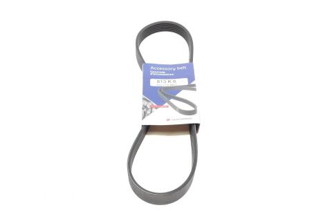 Ремінь генератора Fiat Punto/Stilo 1.9 JTD 99-06 (6PK813)