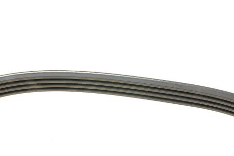 Ремінь генератора BMW 3 (E46)/X3 (E83) 01-07 M47 D20/Fiat Stilo 1.6 16V 01-08