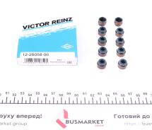 Сальник клапана (впуск/выпуск) VW T5 2.5 TDI 03-10 (к-кт)