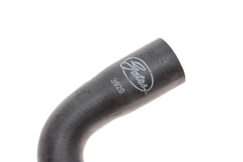 Патрубок радіатора Dacia Logan/Renault Logan 1.4/1.6 04-