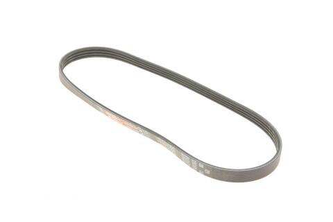 Ремінь генератора Ford Focus III 2.0 11-