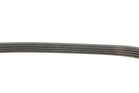 Ремінь генератора Ford Focus III 2.0 11-