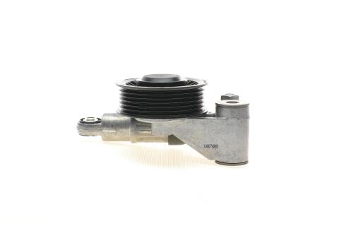 Натяжник ременя генератора VW Crafter 2.5TDI 06-09 (кивачка), BJJ/BJK/BJL/BJM Натяжник ременя генератора VW Crafter 2.5TDI 06-09 (кивачка), BJJ/BJK/BJL/BJM