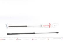 Амортизатор капоту MB S-class (W220) 98-05 (седан) Амортизатор капоту MB S-class (W220) 98-05 (седан)