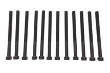 Болти головки (к-кт 12шт.) VW T5 2.5TDI, AXE/BPC/BLJ/AXD/BNZ