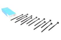 Болти головки (к-кт 12шт.) Volvo C30/C70/S40/S60/S80/V40/V50/V60/V70/XC60/XC70 2.0/2.4 D 06- Болти головки (к-кт 12шт.) Volvo C30/C70/S40/S60/S80/V40/V50/V60/V70/XC60/XC70 2.0/2.4 D 06-