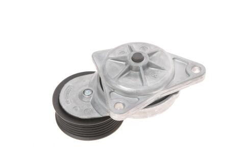 Натяжник ременя генератора Ford Transit Connect 1.8 16V 02-13 Натяжник ременя генератора Ford Transit Connect 1.8 16V 02-13