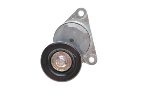 Натяжник ременя генератора Chevrolet Aveo/Daewoo Lanos 1.2-1.6 97- (76x29.5) Натяжник ременя генератора Chevrolet Aveo/Daewoo Lanos 1.2-1.6 97- (76x29.5)