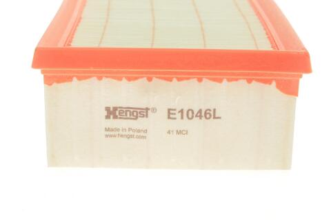 E1046L     (HENGST)